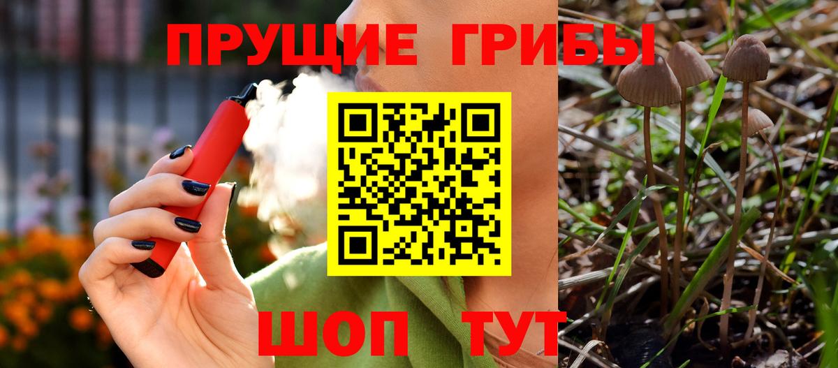 Кумертау  Псилоцибиновые грибы мицелий  Галлюциногенные грибы GOLDEN TEACHER  Вход с VPN 